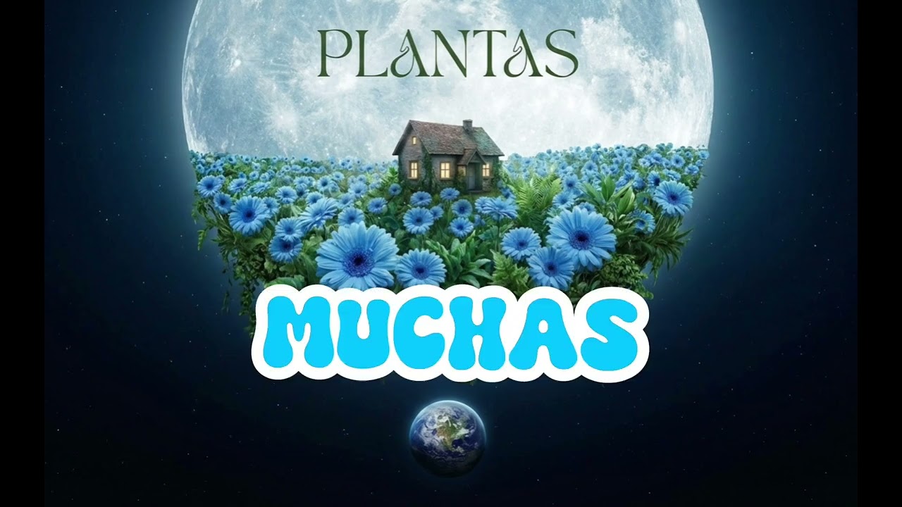 Plantas