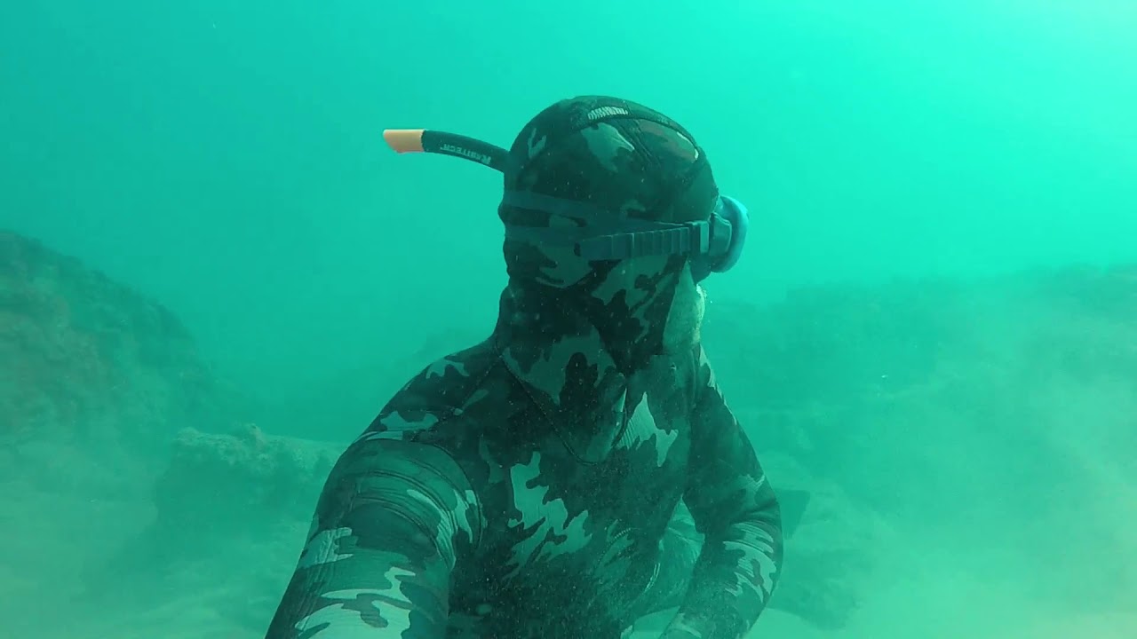 Spearfishing Big Bream Reef Ballito , South Africa