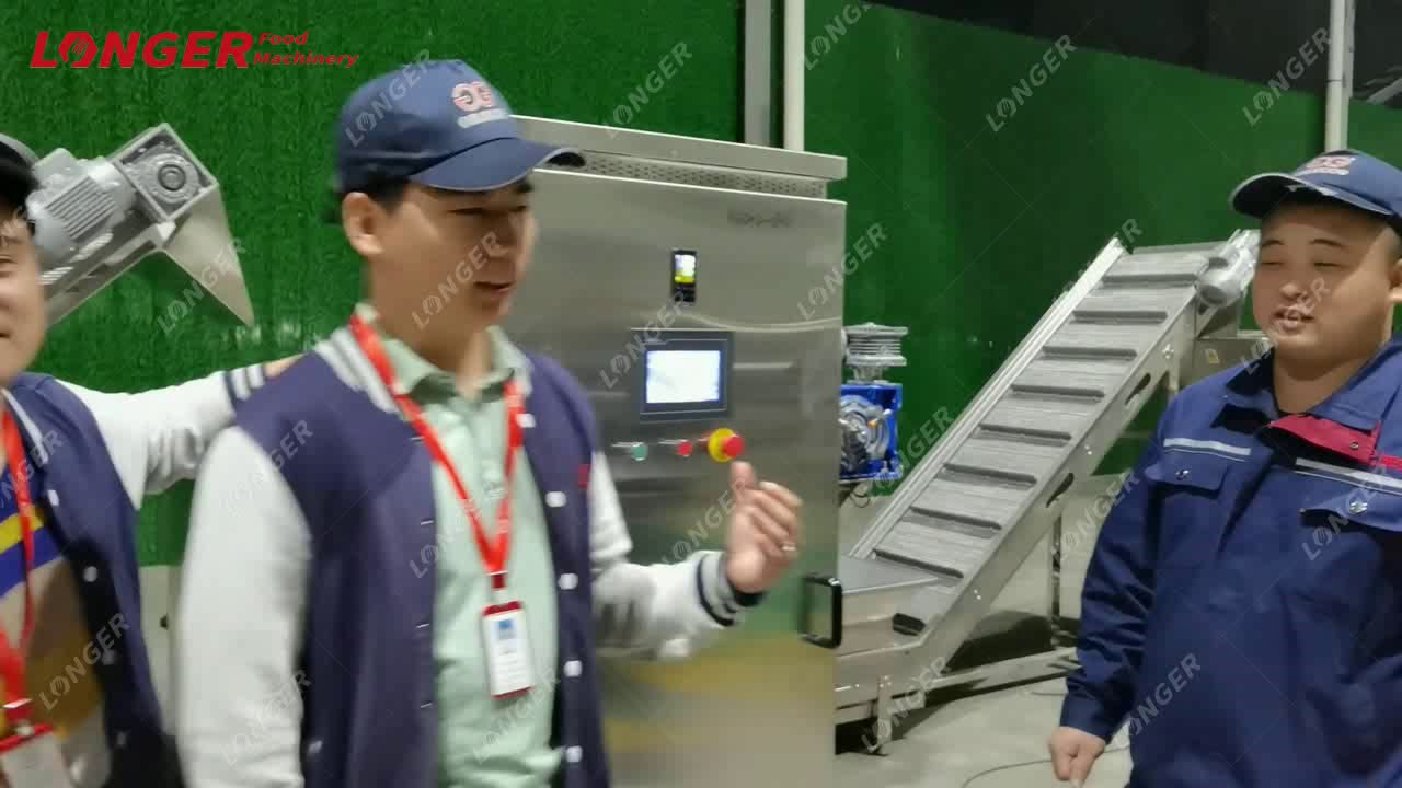 Peanut Deep Fryer Machine Production Line - Frying, Deoiling, Seasoning