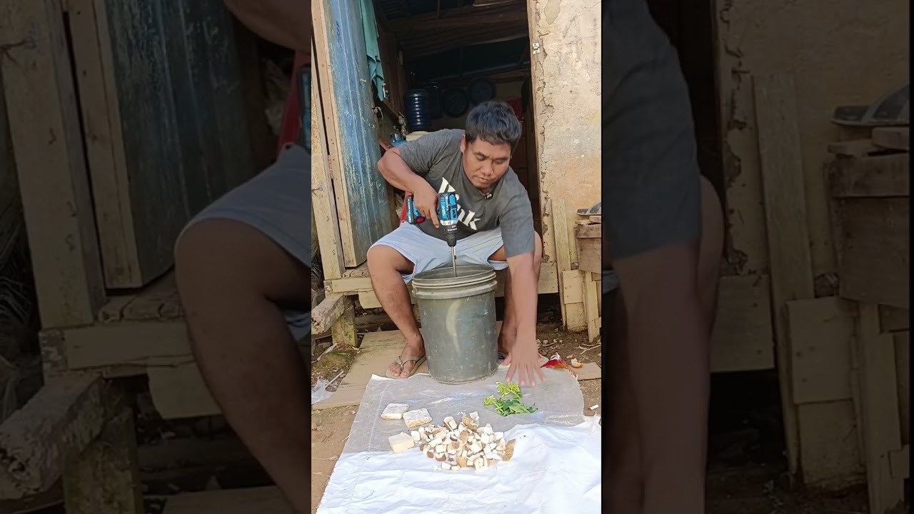 Peracikan pakan ayam dari bahan yang ada di sekitar rumah 