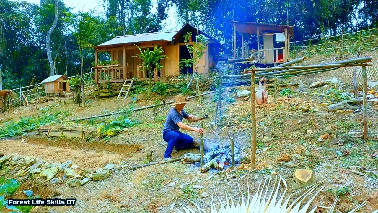 Full Video : Last days of last winter at the old farm, green forest life