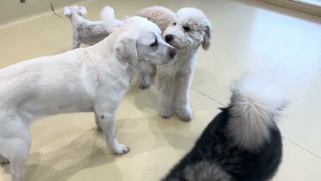 2026.02.21フリータイムの様子