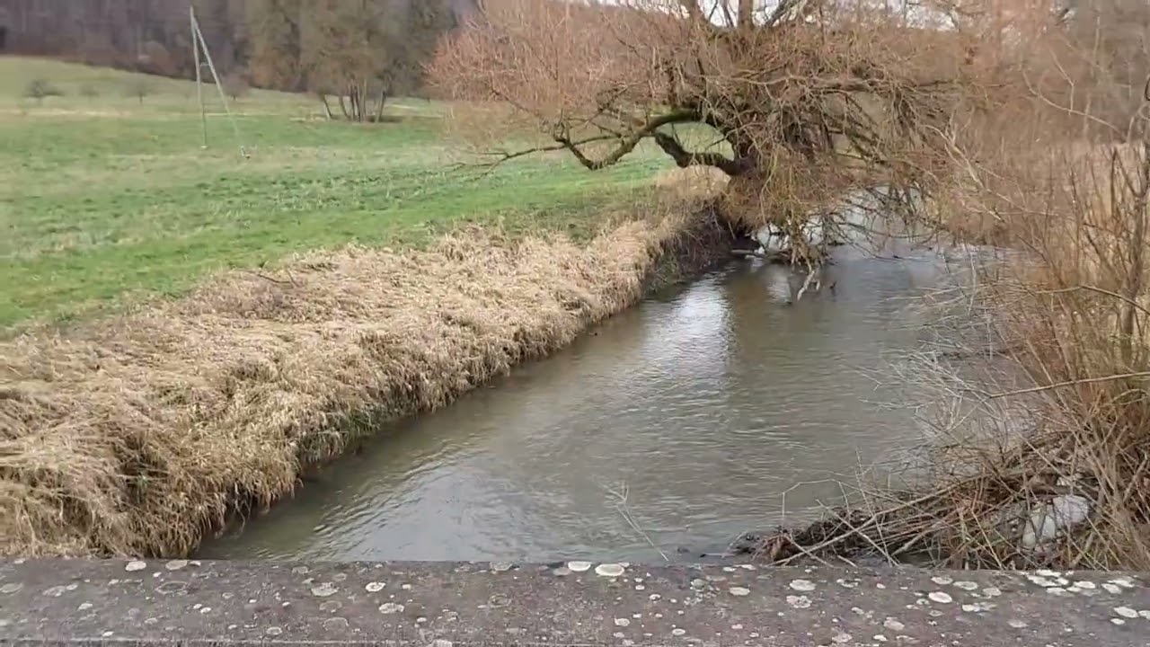 щвейцарське село Hemishofen, кантон Schaffhausen