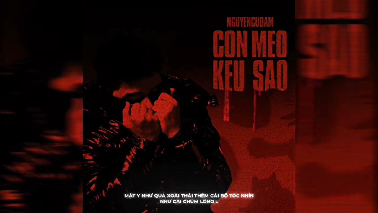 CON MEO KEU SAO ( LIL TAKE DISSING ) | NGUYEN CU DAM