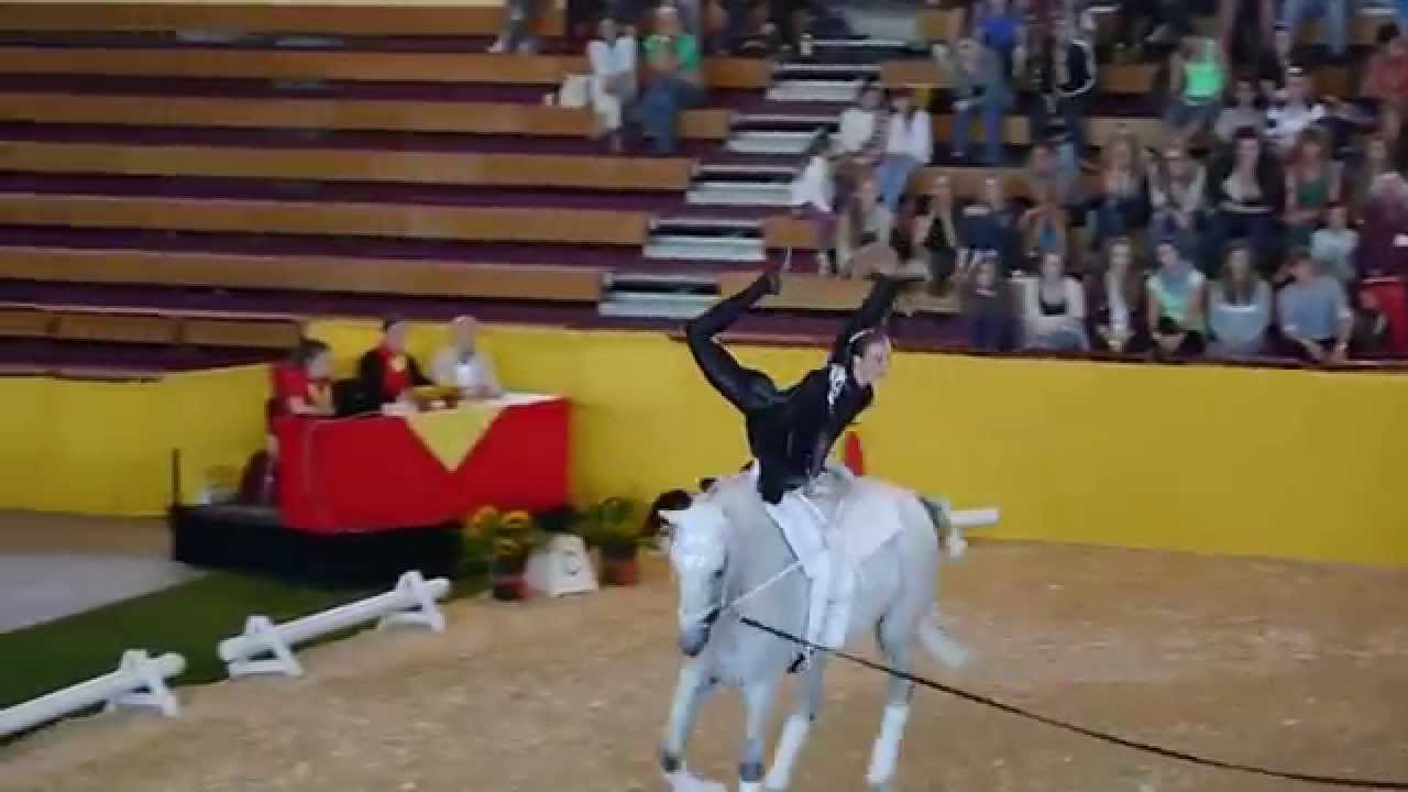 Deutsche Meisterschaft Voltigieren Alsfeld 2015 - Kür Team Oldenburg 1 (Samstag)