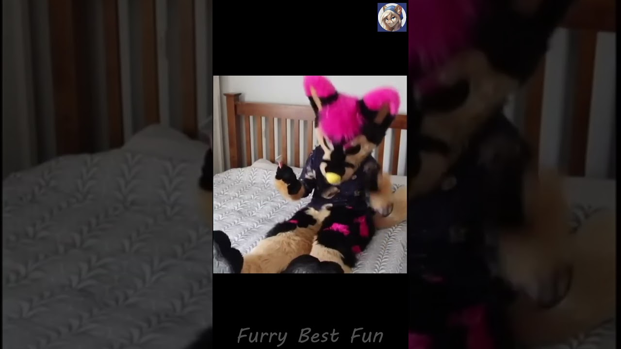 BEST Furry TikToks compilation 0497 #shorts #furrytiktok #furry  #funnyvideo  #youtube   #furries