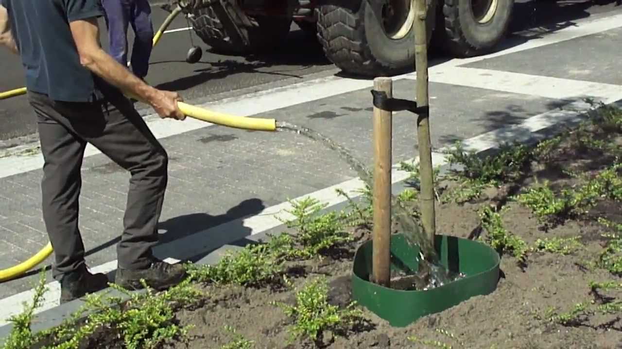 Gietrand van GreenMax (Bewatering)