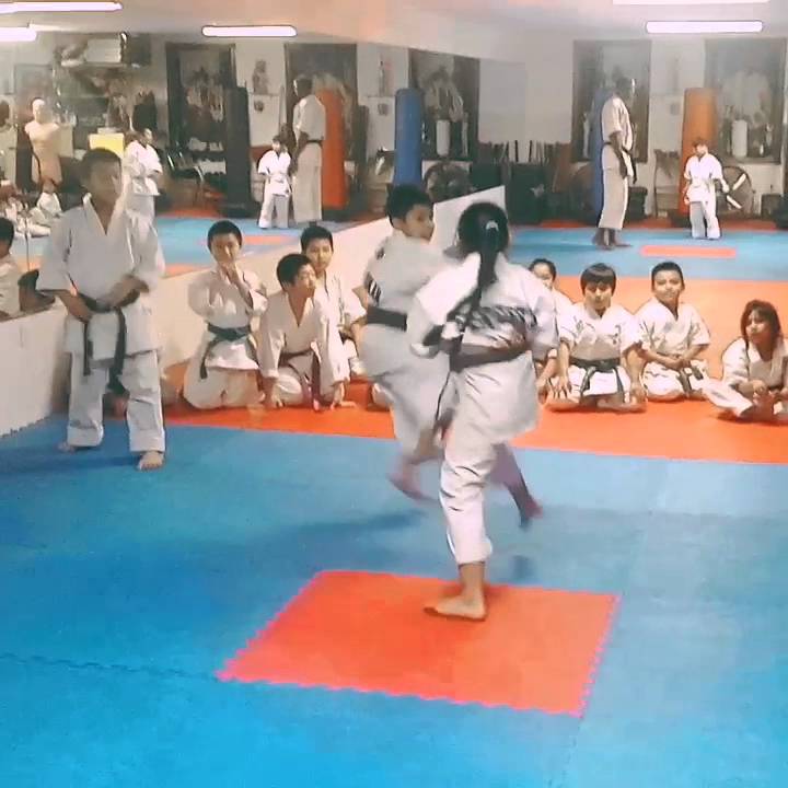 NYC Fight Life TV - US KODOKAN FEDERATION