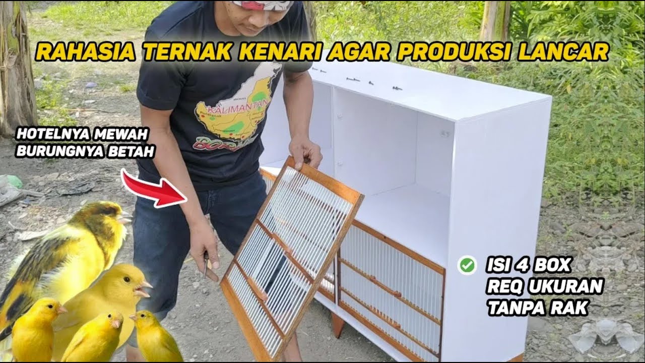 MEWAH‼️ Kandang Ternak Kenari Model HOTEL BOX, Isi 4, Tanpa Rak, dan Tidak Bongkar Pasang