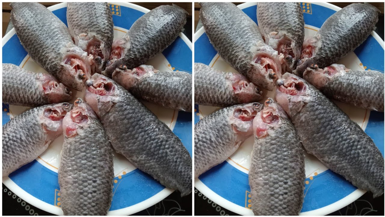 জ্যান্ত কৈ মাছ কাঁটার সহজ পদ্ধতি || How to cut Anabas Fish || কই মাছ পরিস্কার করার পদ্ধতি