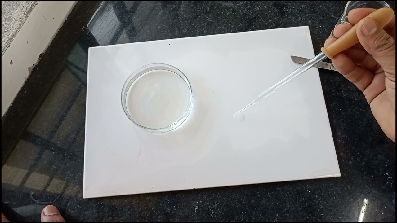 activity 1.8 class 9th science