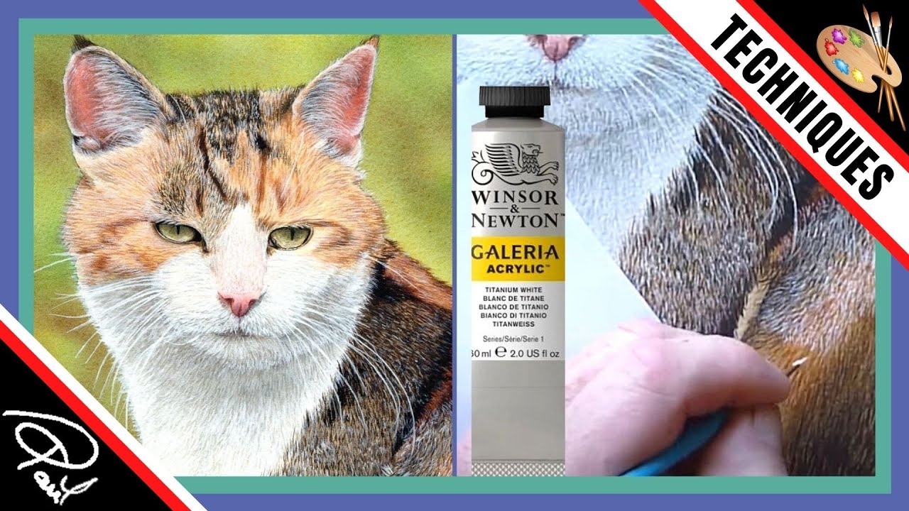 CAT WATERCOLOUR & White Acrylic - How To Paint Fur Using White Paint