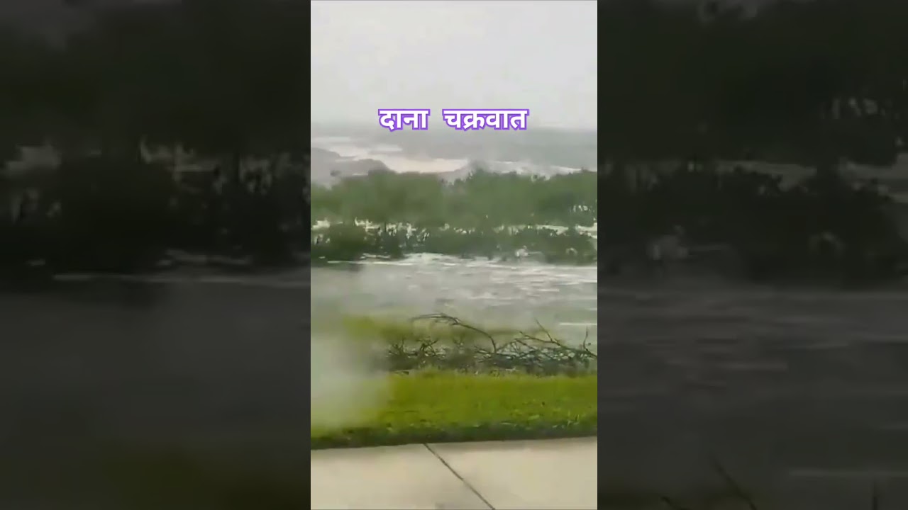 Dana Cyclone 2024 | Bengal | Odisha #shorts #short #cyclone #odisha
