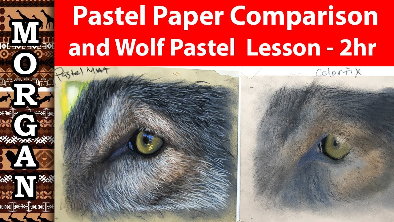 Pastel Lesson - Best Pastel Paper and Draw a Wolf Lesson - Jason Morgan art