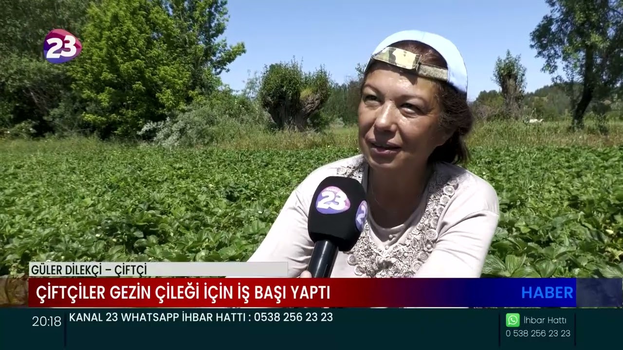 ÇİFTÇİLER KUYULU ÇİLEĞİNİN ARDINDANBU KEZ KOLLARI MEŞHUR GEZİN ÇİLEĞİ İÇİN SIVADI