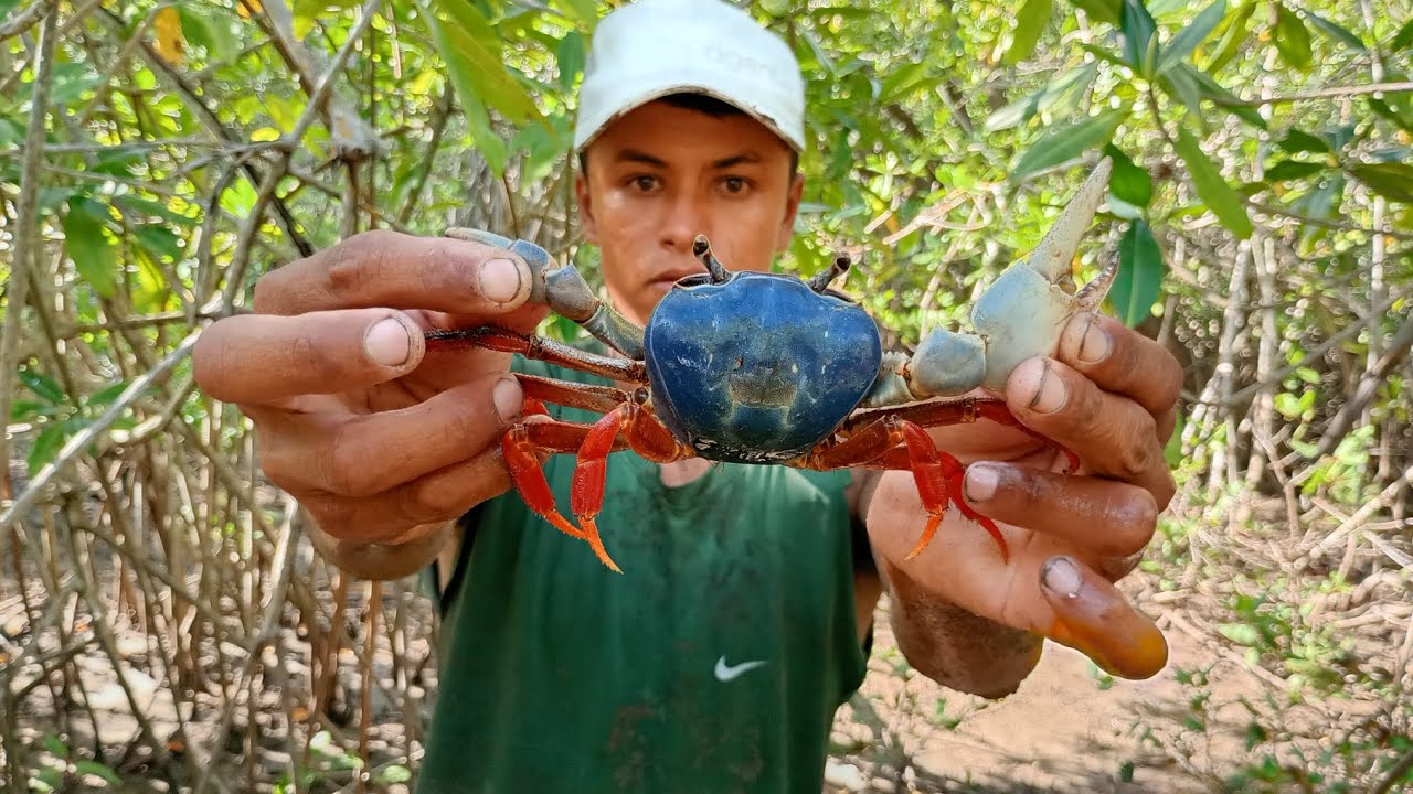 Encontramos unos grandes cangrejos Azules amigos acompañenme en esta aventura #pesca #viral 