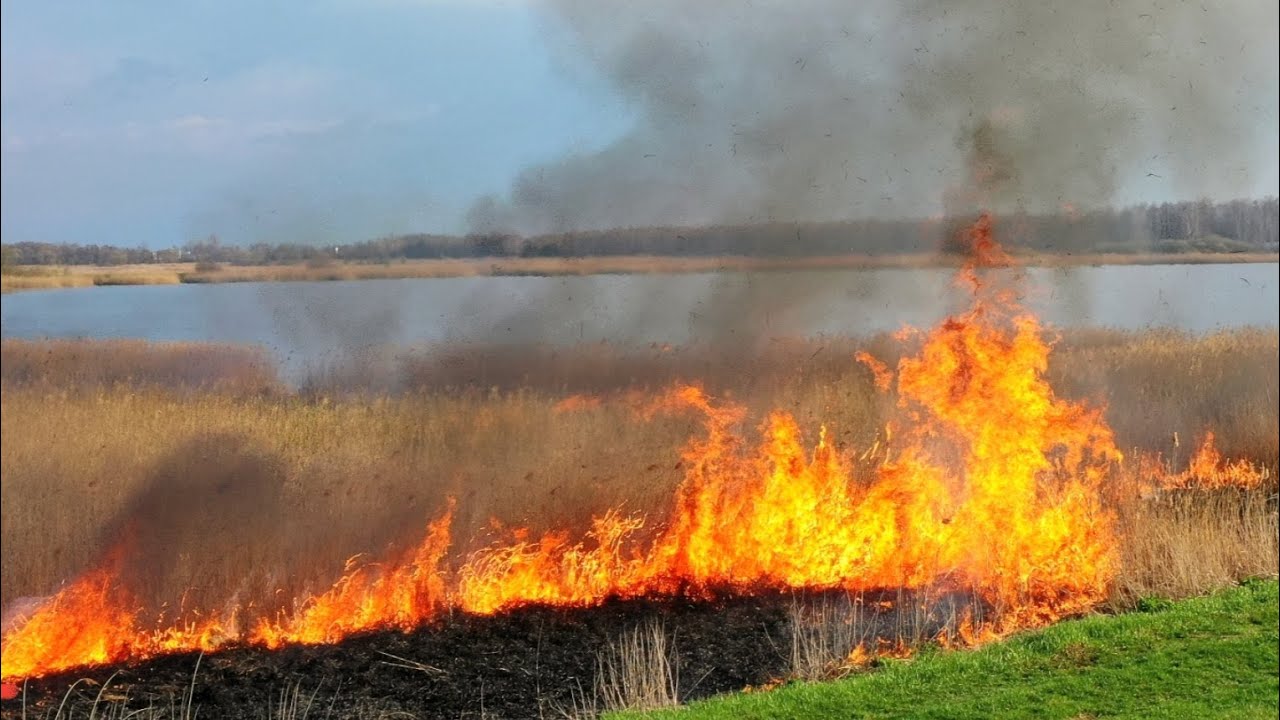 Рыбаки спасаются от пожара, идут сквозь огонь 🔥. Трасса М1 #РЫБАЛКА #ПОЖАР #ОГОНЬ