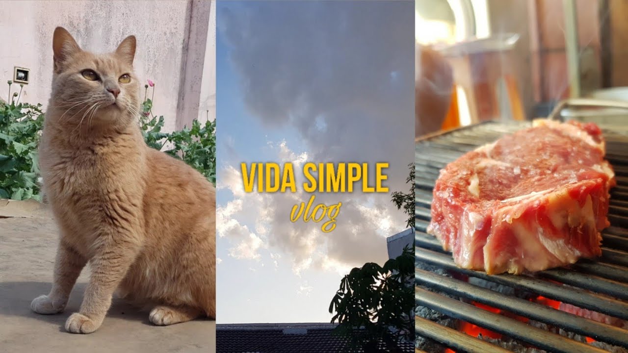 Vida Simple VLOG | La felicidad de mis días ordinarios, bife de chorizo, gatos, tortugas