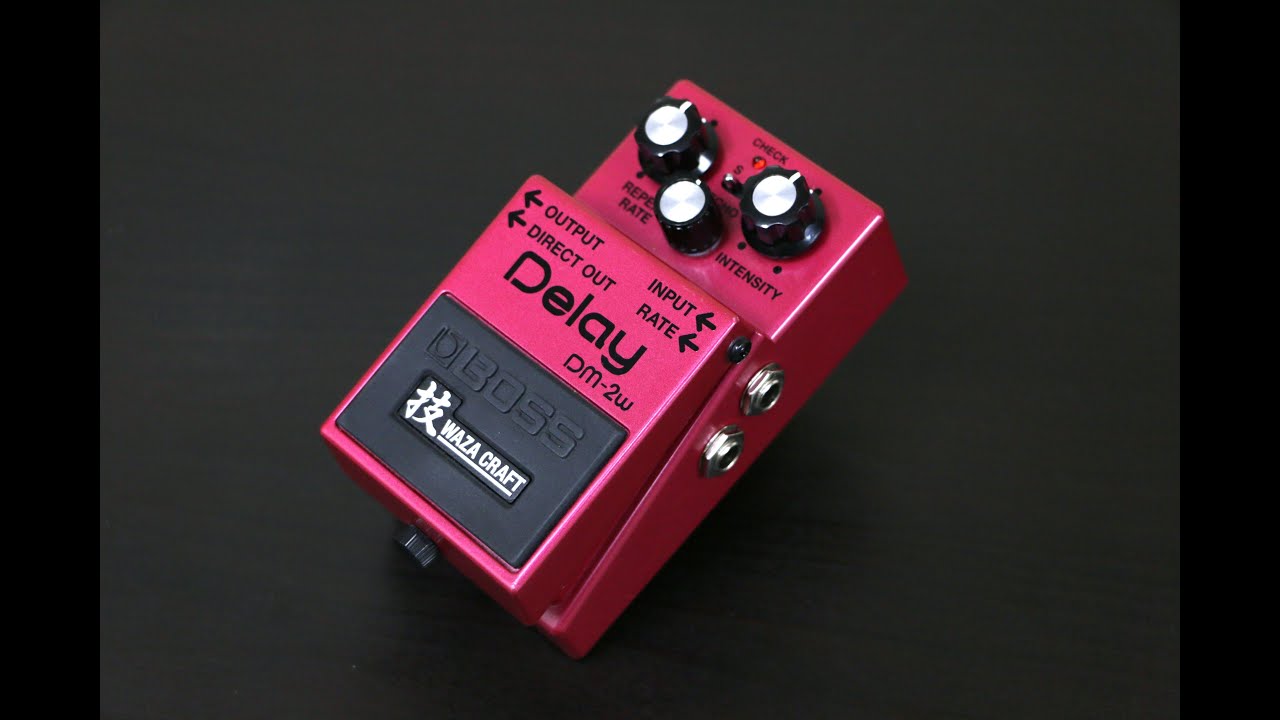 Boss DM-2w Delay Waza Craft Demo