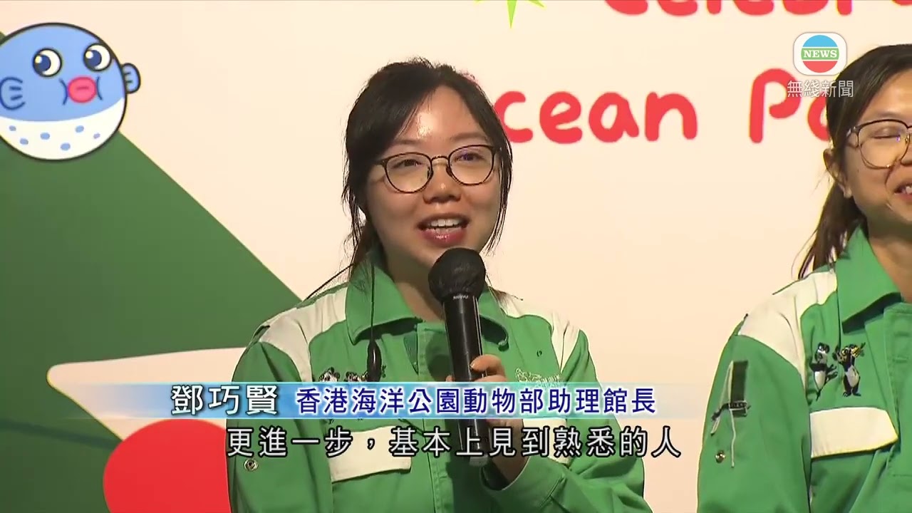 香港無綫｜香港新聞｜23/12/2024 要聞｜海洋公園為安安可可準備特別聖誕大餐 稱與公眾見面兩周適應良好