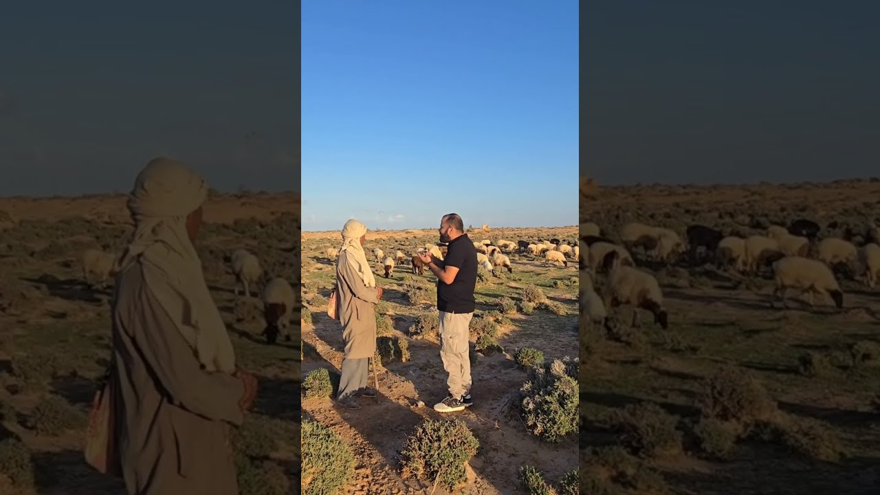 رُعاة الصحراء… حكاية صبر من ببنقردان بالجنوب التونسي 🇹🇳🐑