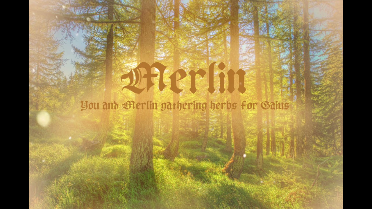 ♡Shift ambience♡ - You and Merlin are gathering herbs for Gaius
