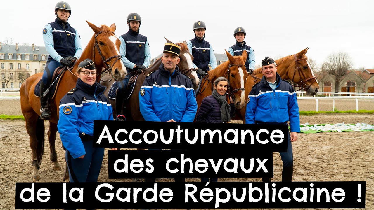 Accoutumance des chevaux de la Garde Républicaine !