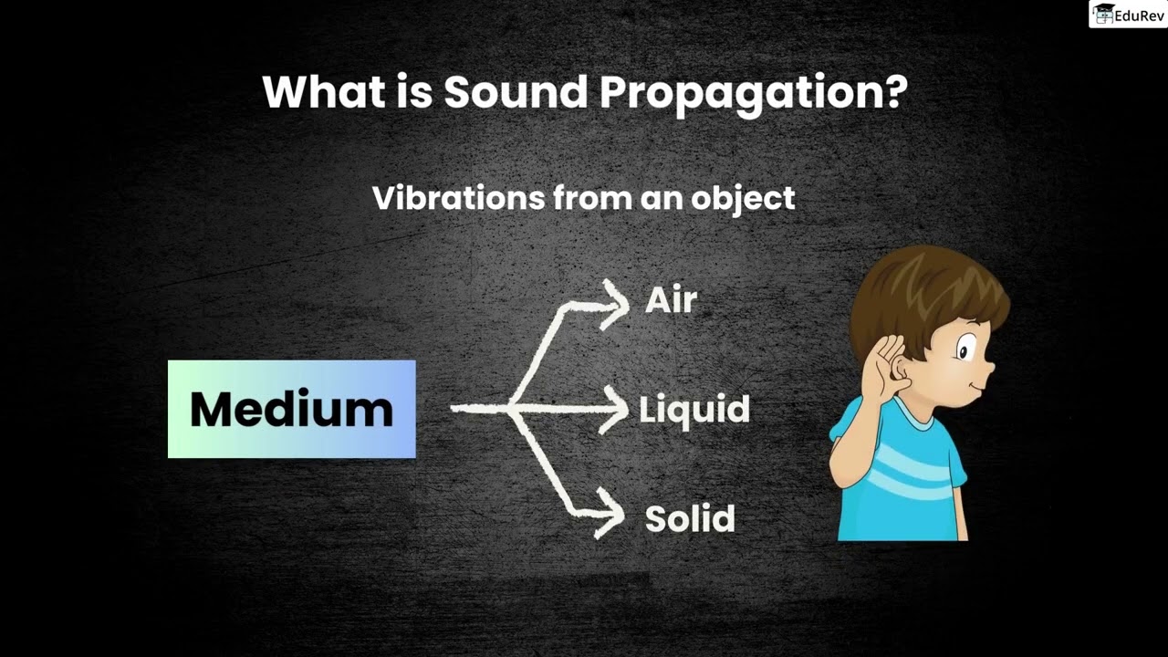 Sound: Production, Propagation, and Properties | Physics (Science) | Class 9