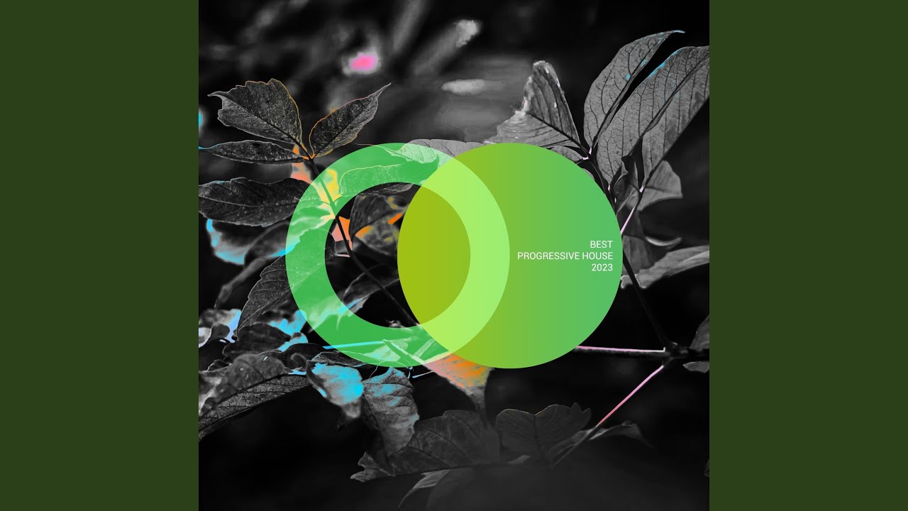 In Love with the Night