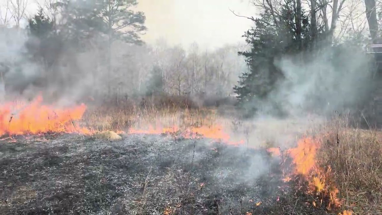 Rx Fire!