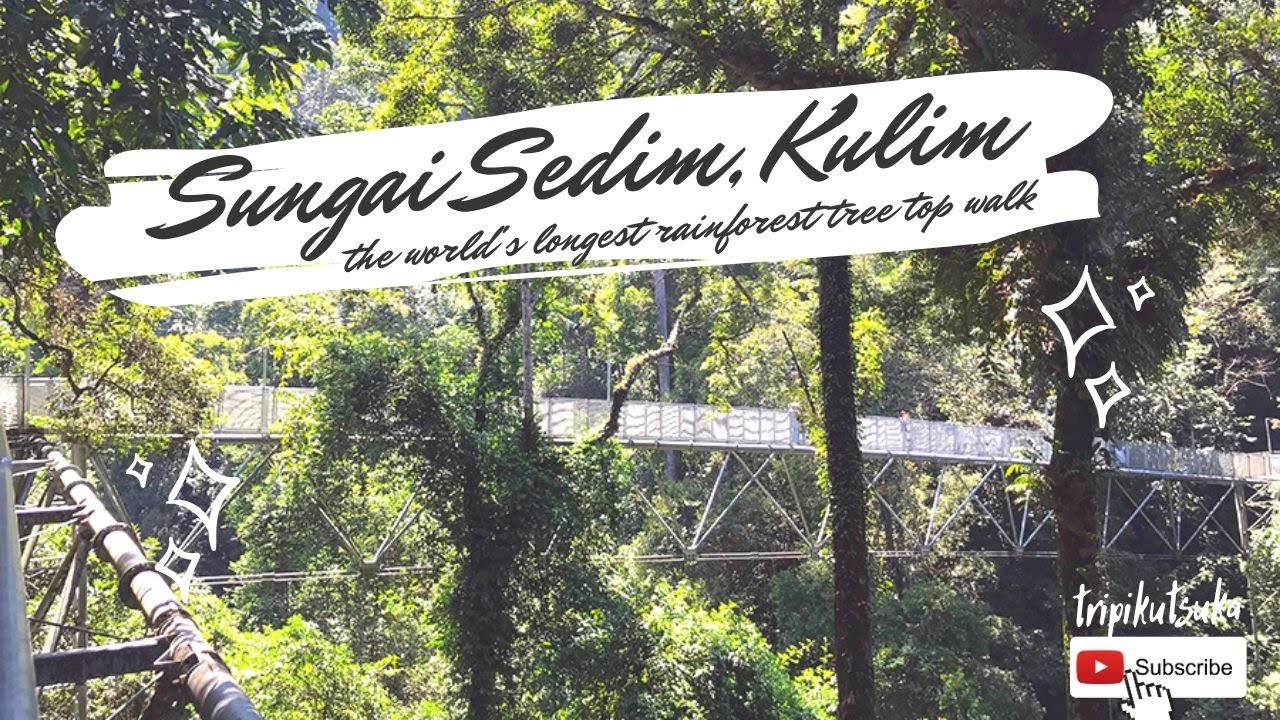 The world&rsquo;s longest rainforest canopy walk berada di Malaysia