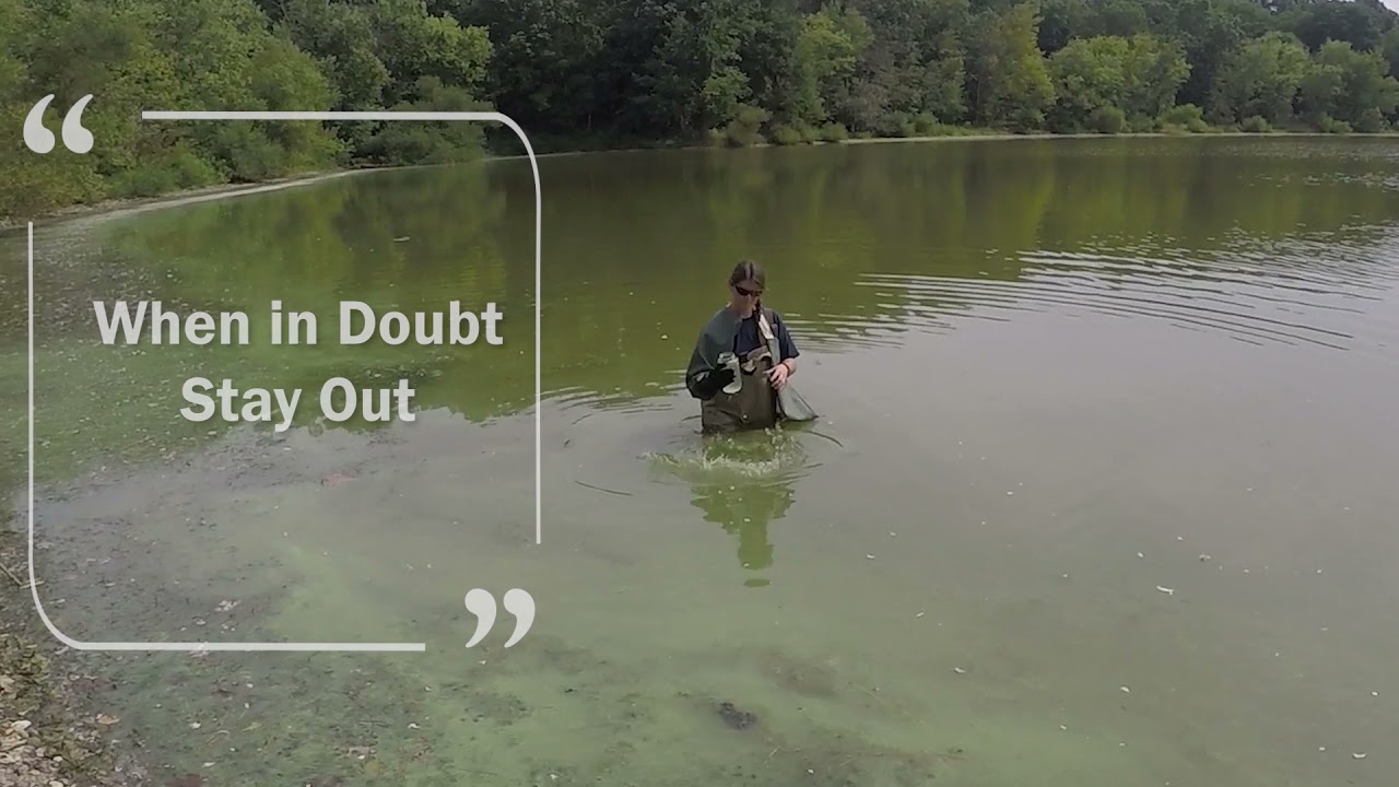What You Should Know About Cyanobacteria in Connecticut’s Recreational Waters