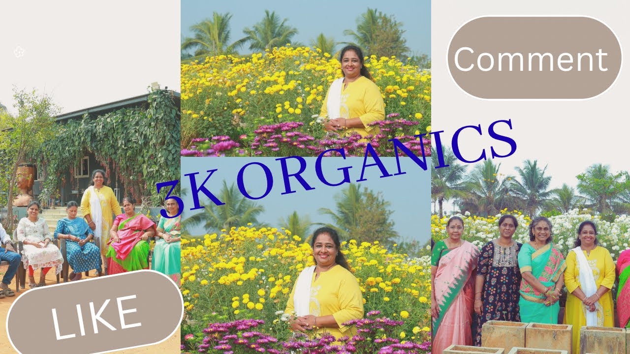 Matti pilichina manushulu… 3K Organics garden lo oka gnapakam🌿#3korganics #shortsviral #shortvideos 