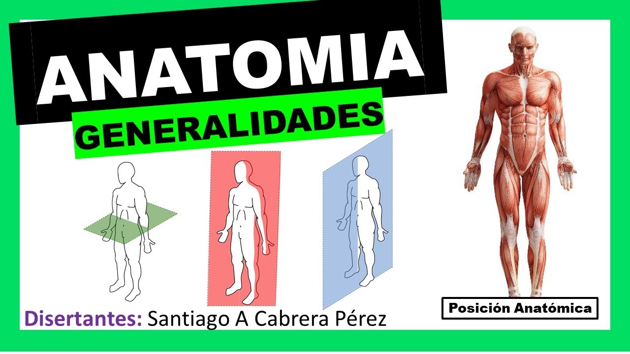 ▌ANATOMÍA ▌INTRODUCCIÓN Y GENERALIDADES (Posición Anatómica - Planimetria)  ▌💀