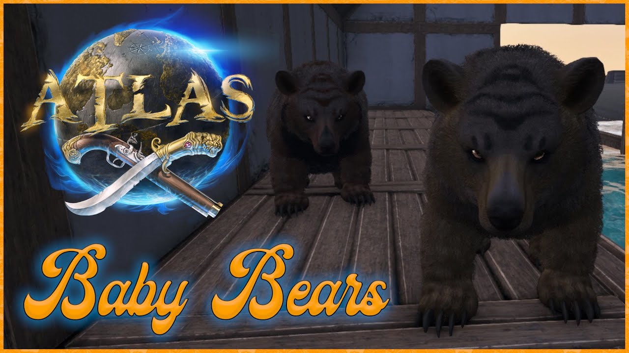 TAMING BEARS FOR BABY BEARS! ATLAS SEASON 9 EP3