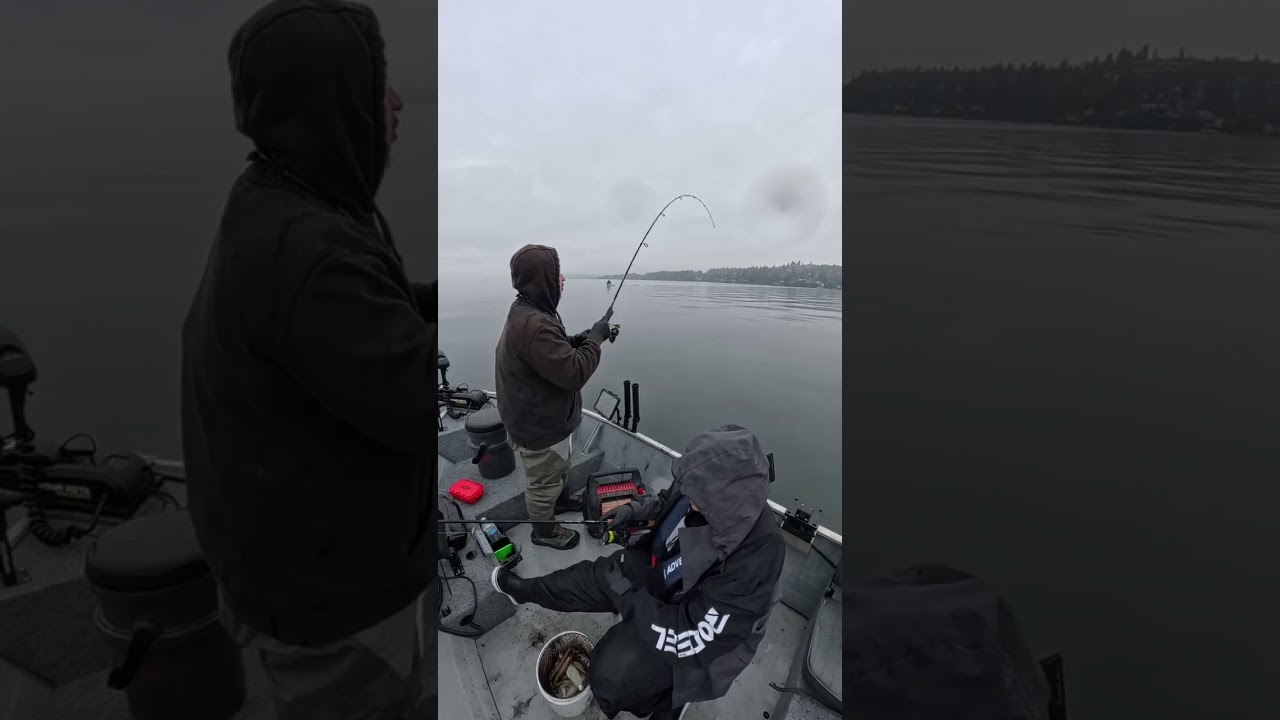 Squidding at Poverty Bay! 