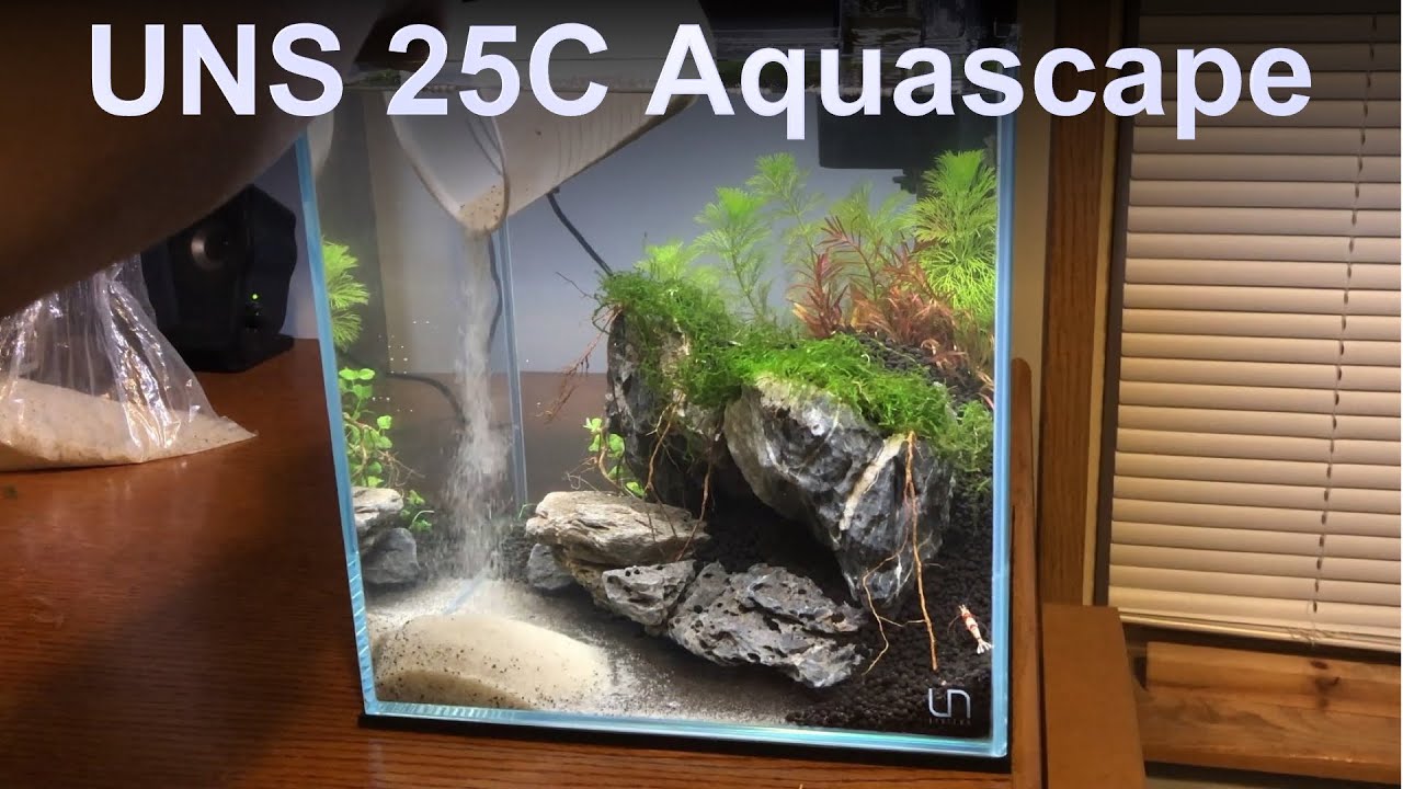 UNS 25C Aquascape