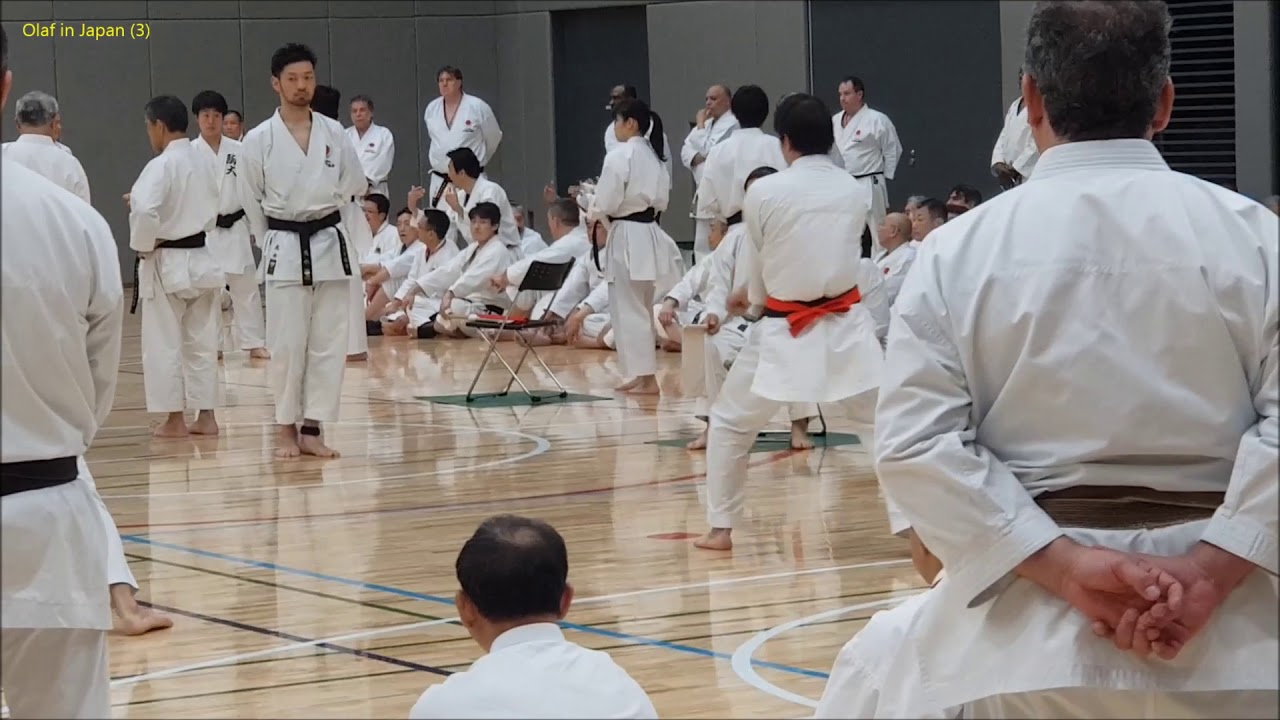 2019-04-13 Tokyo: 1. JKA Spring Joint Training Camp 2019 (3. Tag) / Olaf in Japan (3) - Burgen-Tour