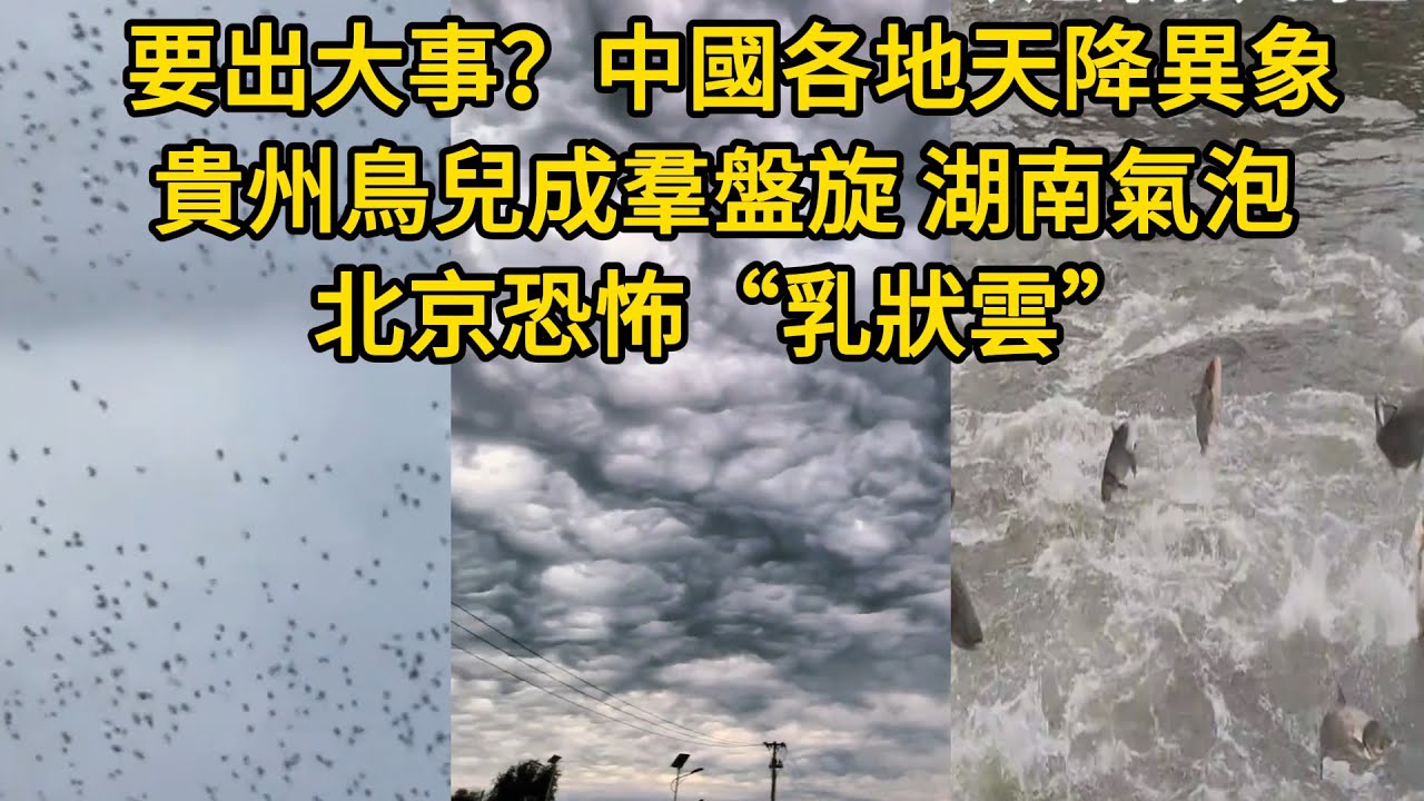 要出大事？中國各地天降異象：貴州多地鳥兒成羣盤旋，湖南地裏冒大量氣泡，北京和遼寧出現恐怖“乳狀雲”，雲南魚跳出洱海，山東拍到清楚龍吟！