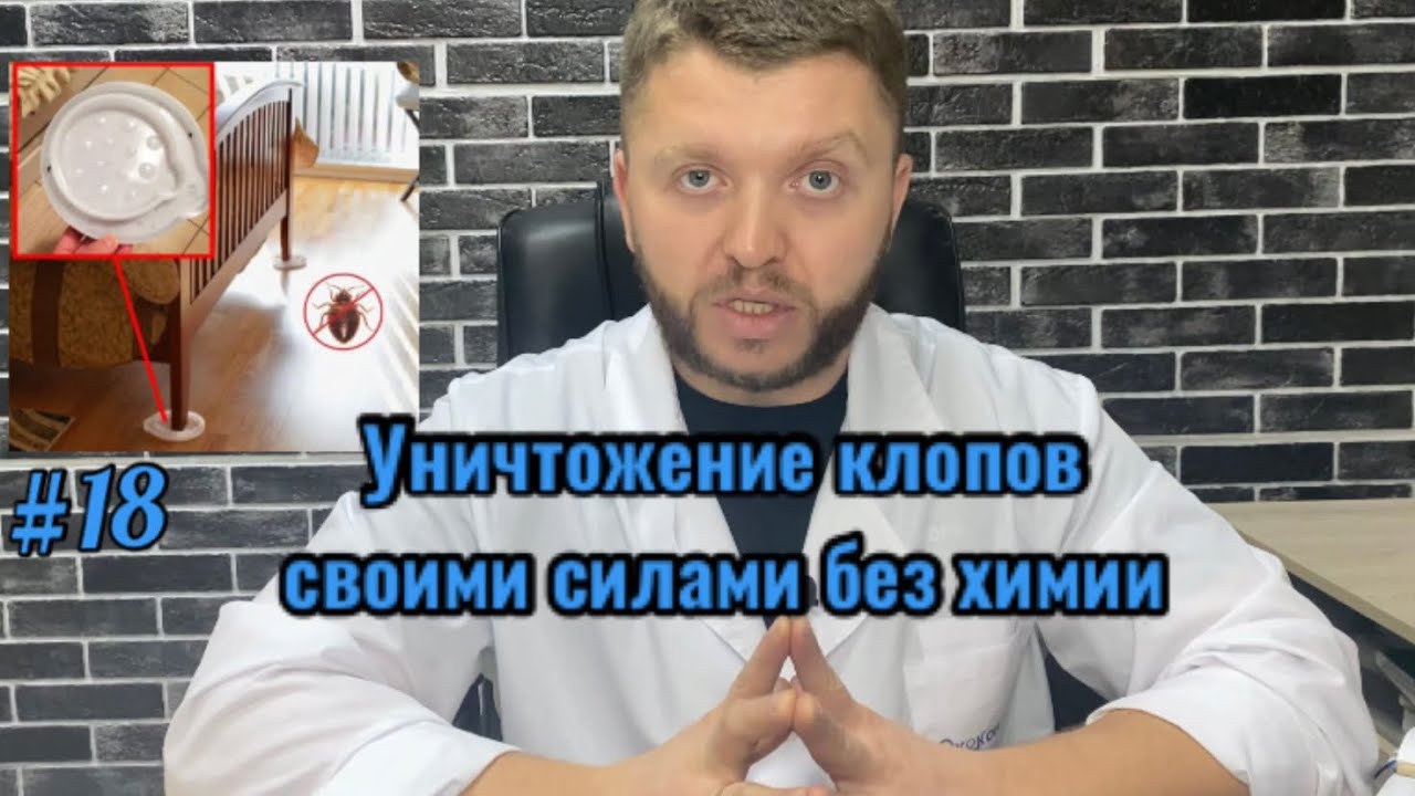 Уничтожение клопов самостоятельно без дезсредств