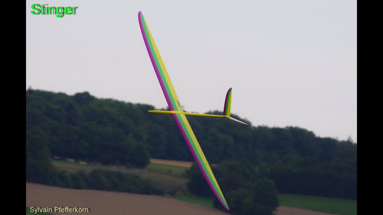 Sylvain P.  - Stinger vdp/F3F  15.01.2020