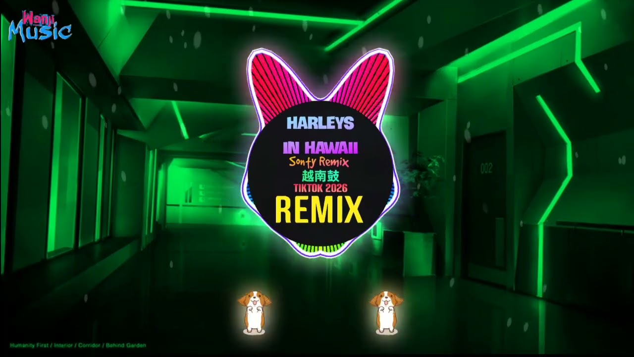 Harleys In Hawaii 越南鼓dj (Sonty Remix Tiktok 2025) Houselak 越南鼓卡点舞DJ抖音版 || Hot Tiktok Douyin