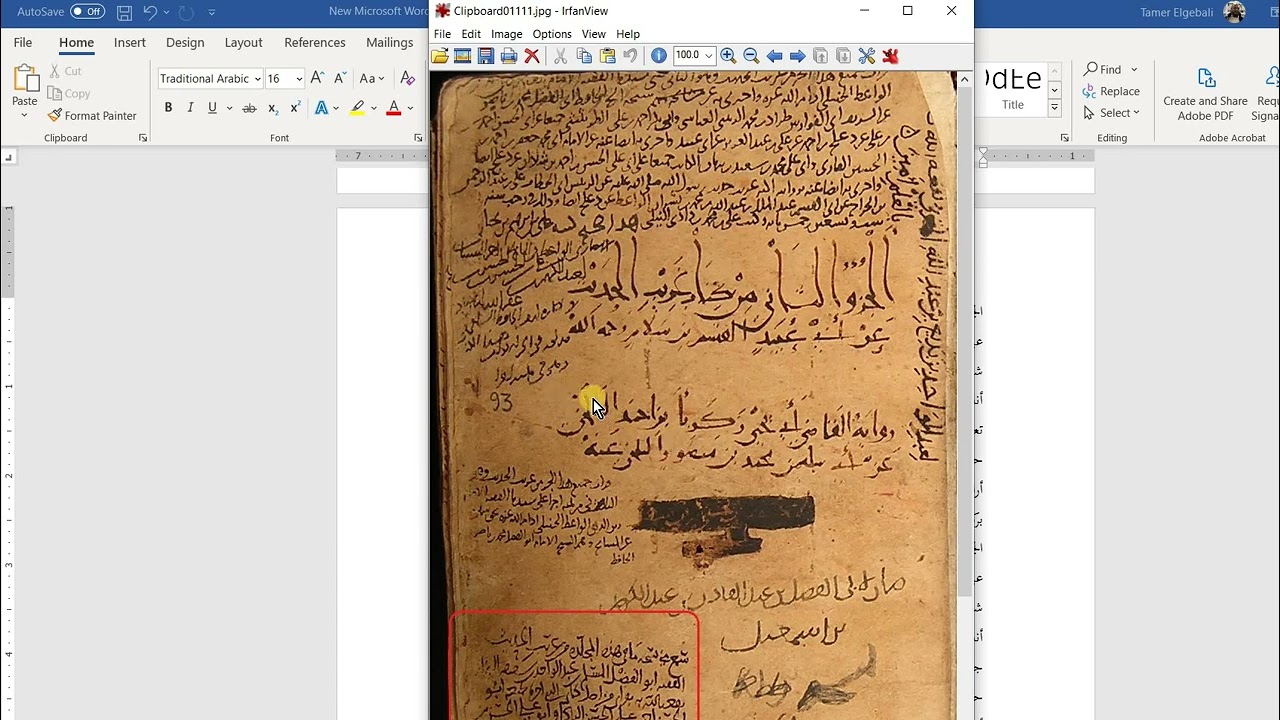 اقتصاص صورة من المخطوط ووضعها في النص