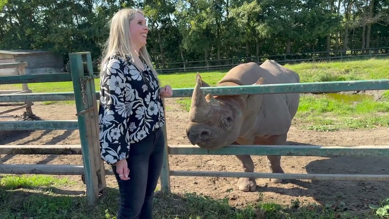 Howletts zoo rhino encounter
