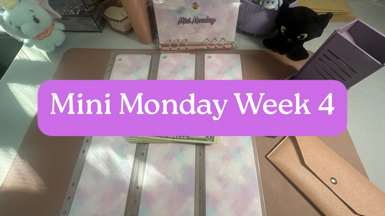 Mini Monday Savings | Stuffing $60 into Sinking Funds | February Week 2