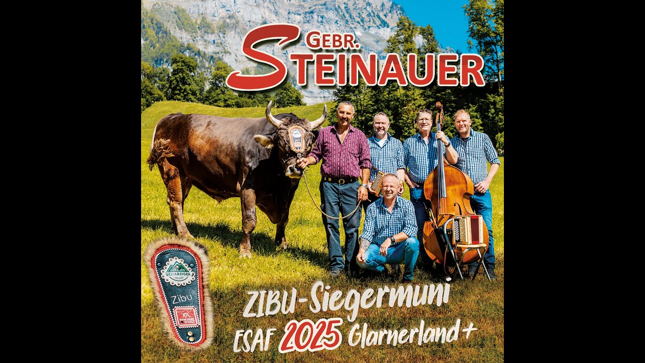 Gebr. Steinauer - ZIBU-Siegermuni ESAF 2025 Glarnerland+ (offizielles Musikvideo)