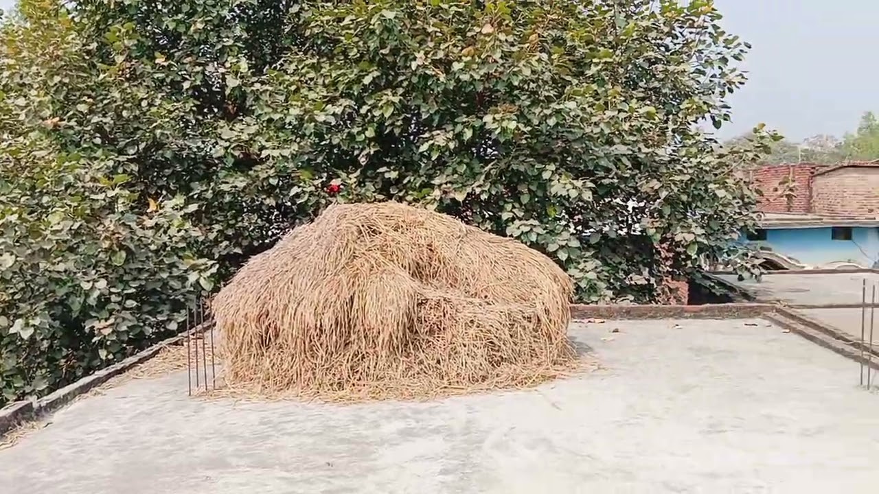 माय विलेज