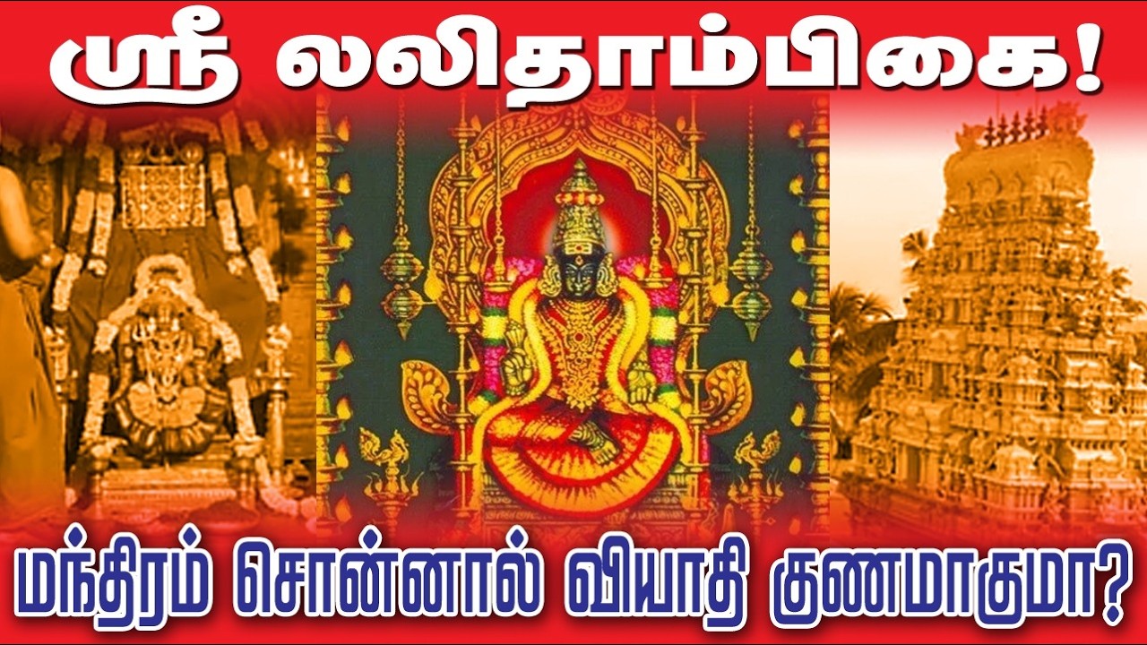 மருந்து எங்கு மறைந்து இருக்கிறது?#மருந்து மட்டும் உண்டால்  போதாதா?