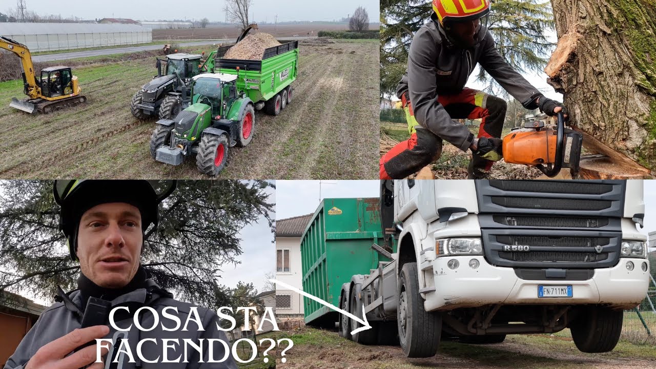 ABBATTIMENTO CON CUNEI CON DOPPIA CIPPATURA DI DIVERSE PIANTE, UN AUTOTRENO E UN DUMPER