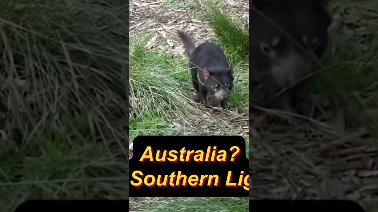 Unknown facts about Australia